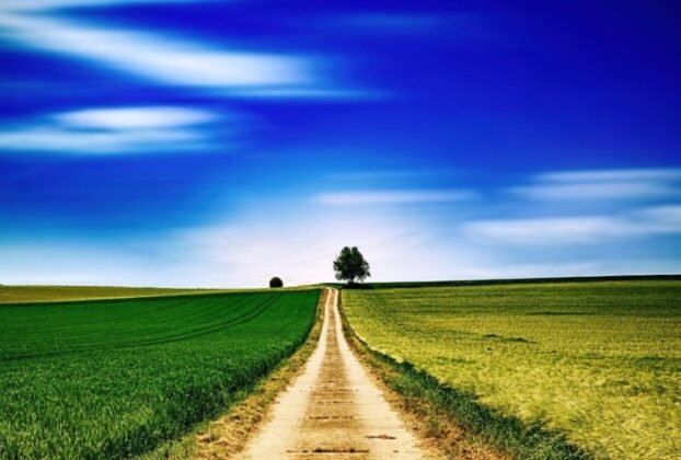 Estrada de terra reta cruzando campos verdes sob um céu azul com nuvens, simbolizando a jornada do herói na psicoterapia e o caminho do guerreiro