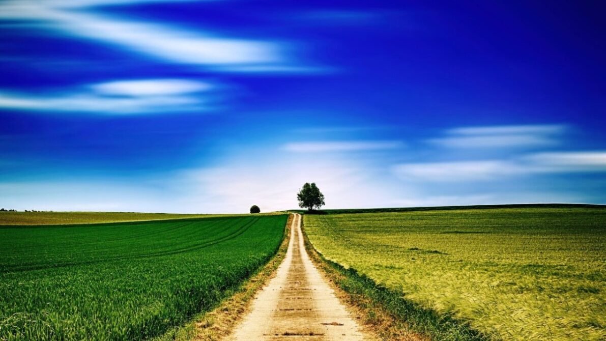 Estrada de terra reta cruzando campos verdes sob um céu azul com nuvens, simbolizando a jornada do herói na psicoterapia e o caminho do guerreiro